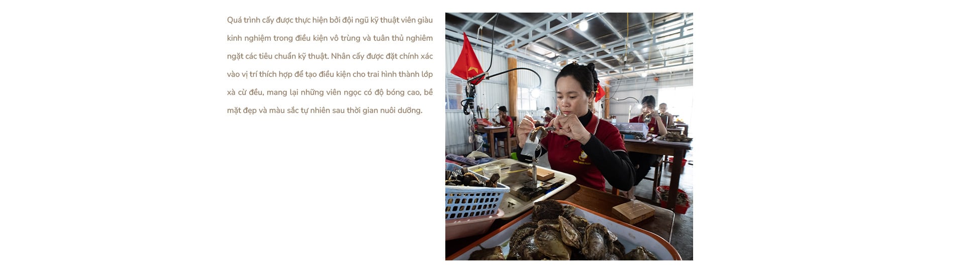 Ngọc trai Ngọc Hiền