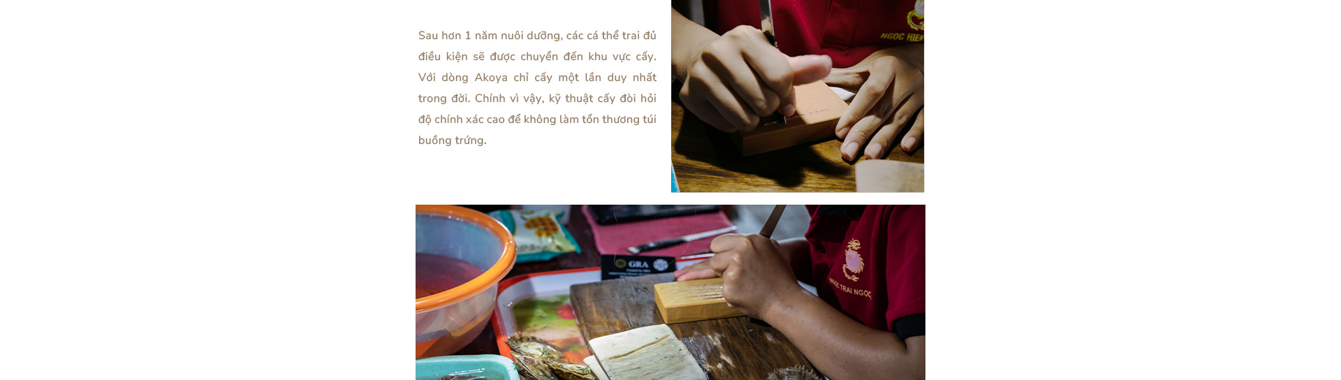 Ngọc trai Ngọc Hiền