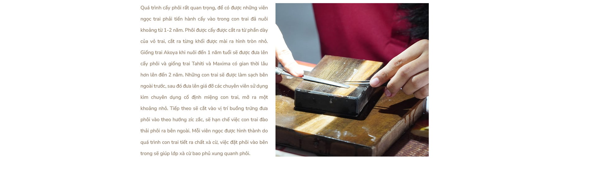 Ngọc trai Ngọc Hiền