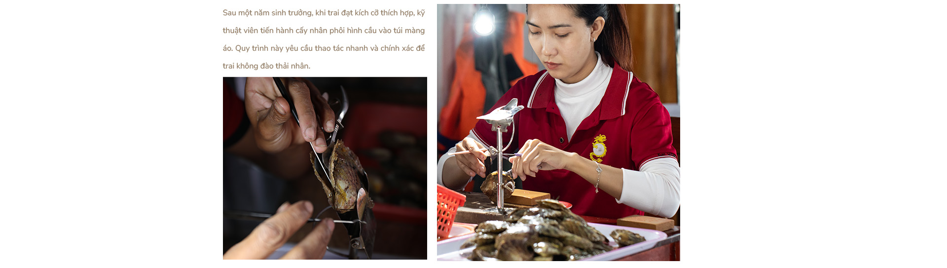 Ngọc trai Ngọc Hiền