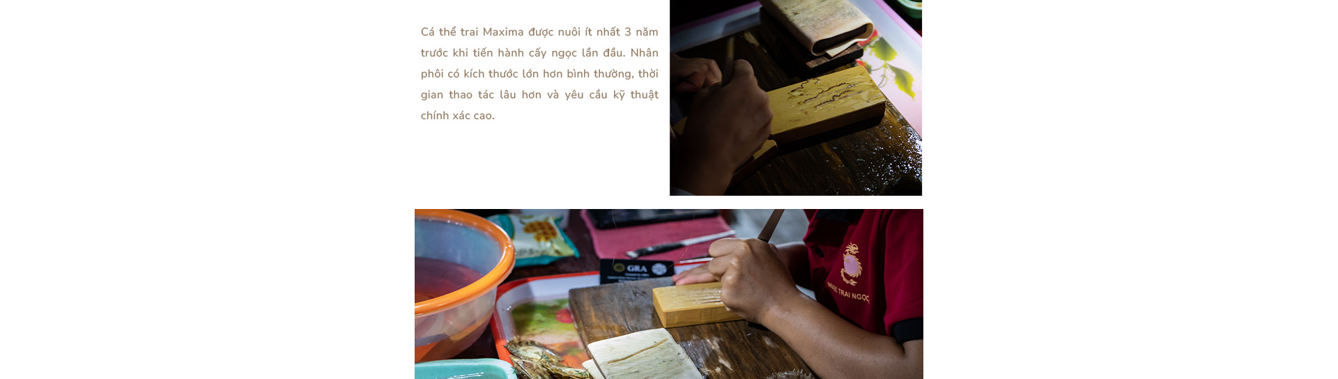 Ngọc trai Ngọc Hiền