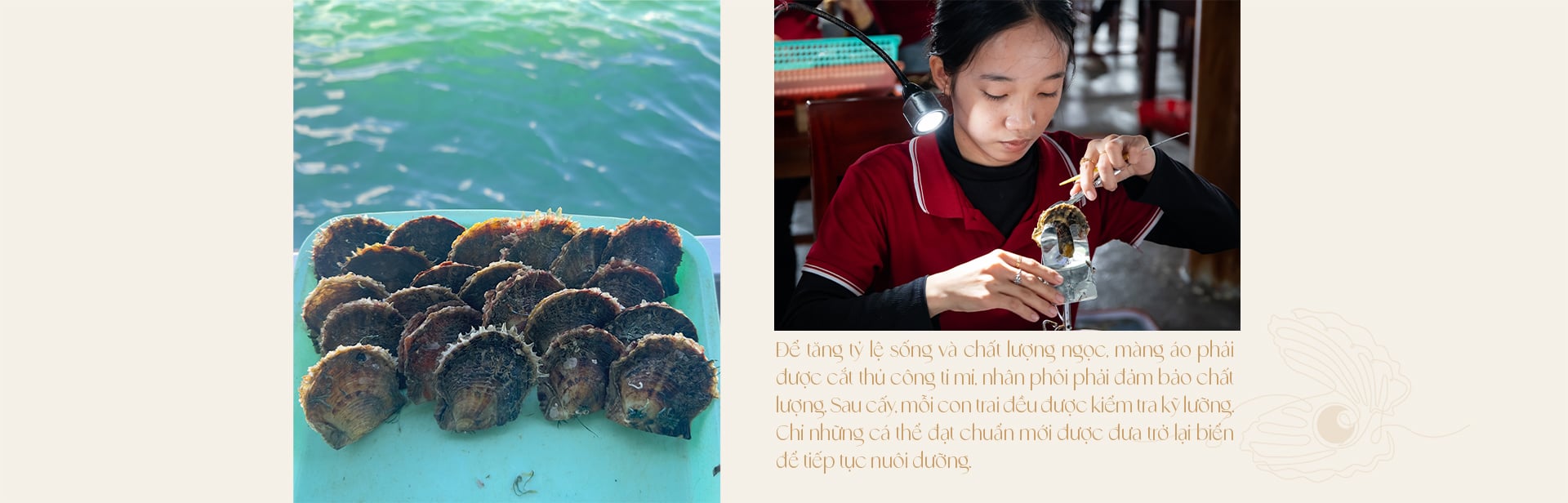 Ngọc trai Ngọc Hiền