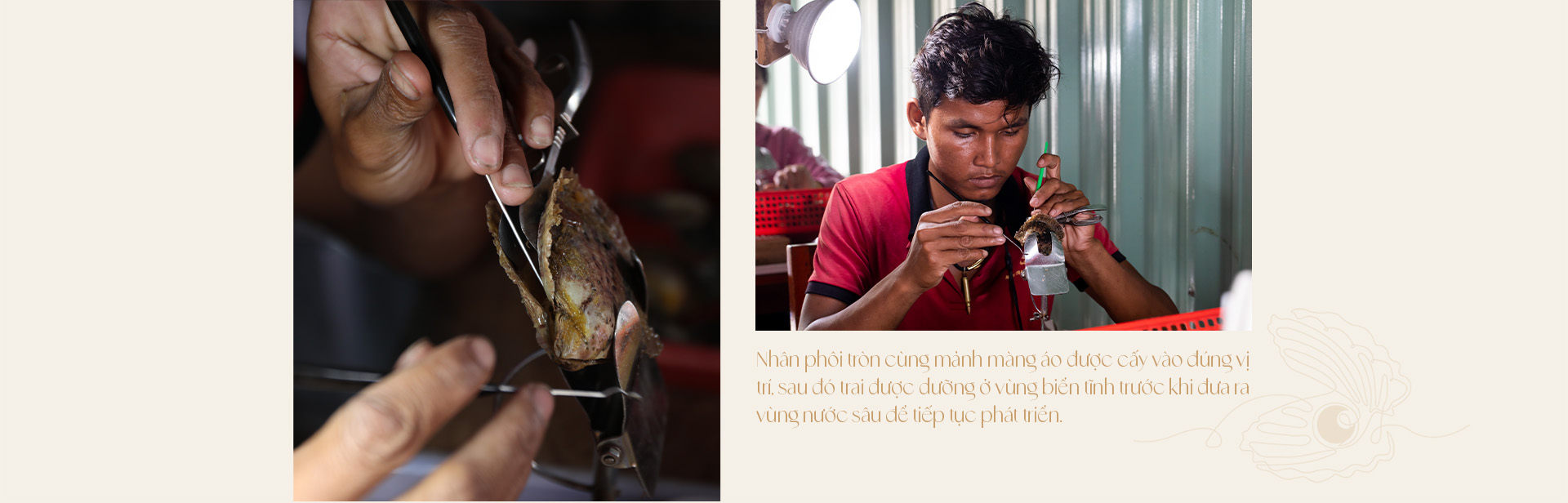 Ngọc trai Ngọc Hiền