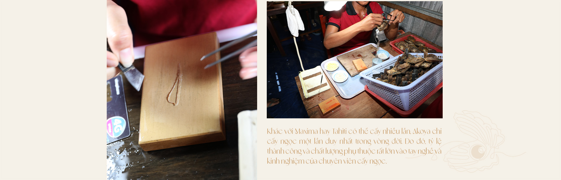 Ngọc trai Ngọc Hiền