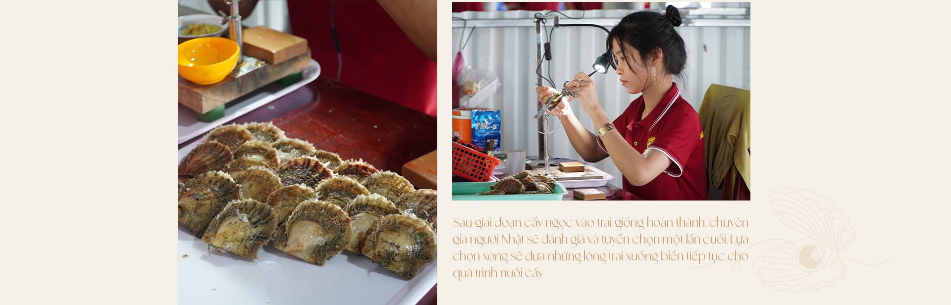 Ngọc trai Ngọc Hiền