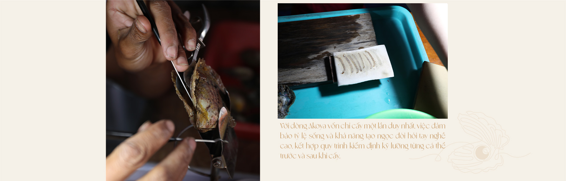 Ngọc trai Ngọc Hiền