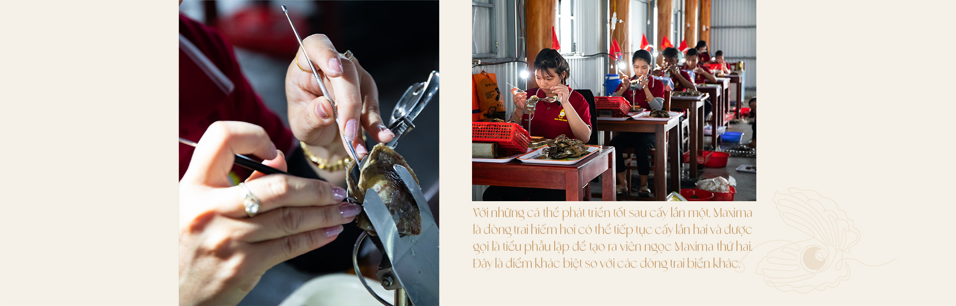 Ngọc trai Ngọc Hiền