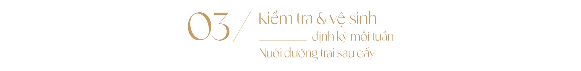 Ngọc trai Ngọc Hiền