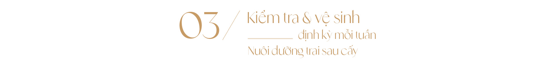 Ngọc trai Ngọc Hiền