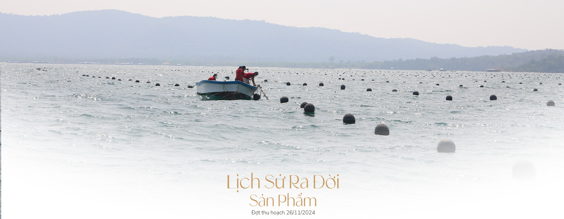 Ngọc trai Ngọc Hiền