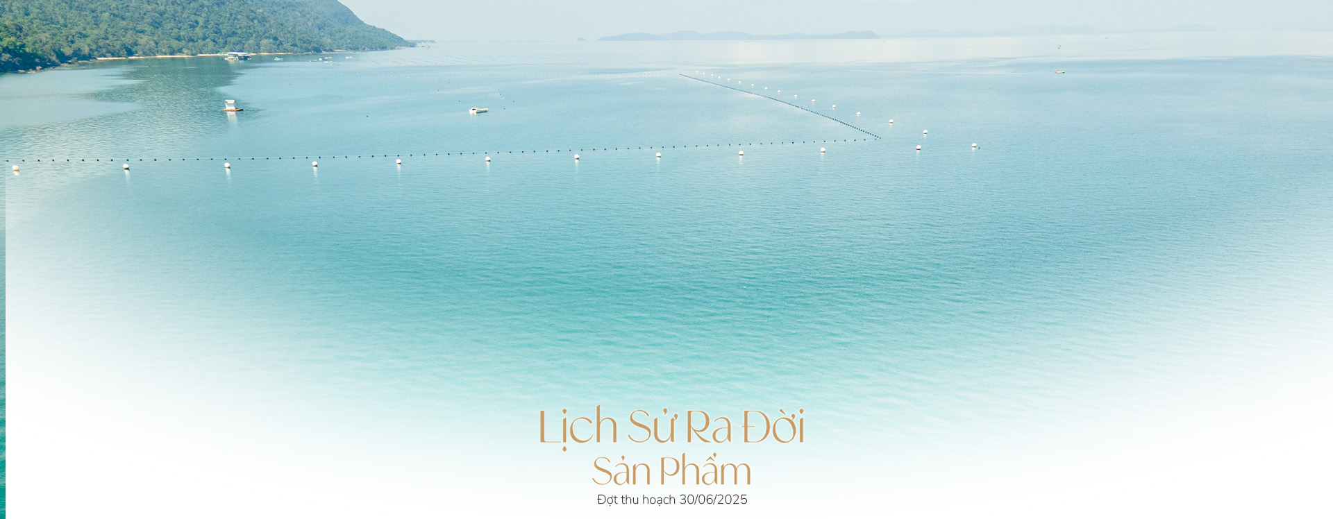 Ngọc trai Ngọc Hiền