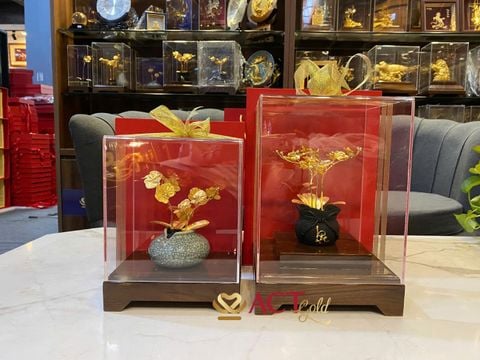 Thiện lương là gì? đừng nhầm lẫn giữa việc làm tốt và bản chất tử tế
