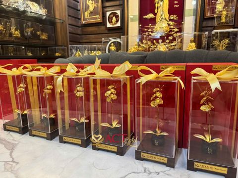 Nên Tặng Quà Gì Vào Dịp Tết Bính Ngọ 2026?