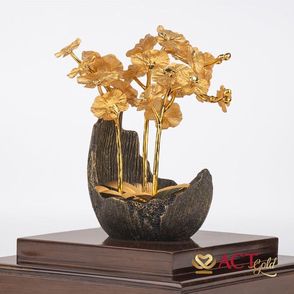 Hình ảnh sản phẩm