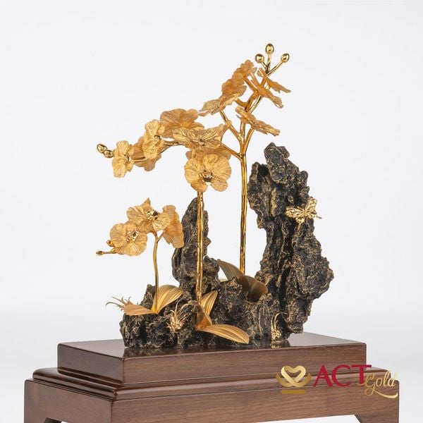 Hình ảnh sản phẩm