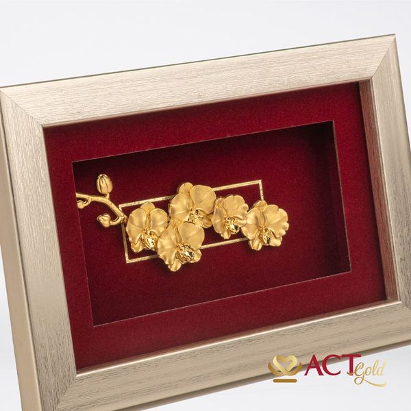 Hình ảnh sản phẩm