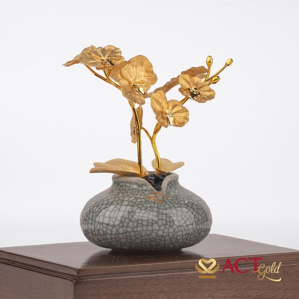 Hình ảnh sản phẩm