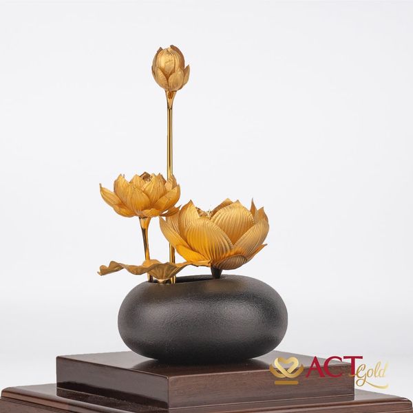 Hình ảnh sản phẩm