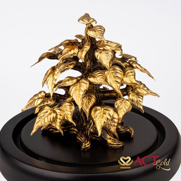 Hình ảnh sản phẩm
