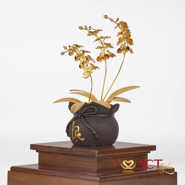 Hình ảnh sản phẩm