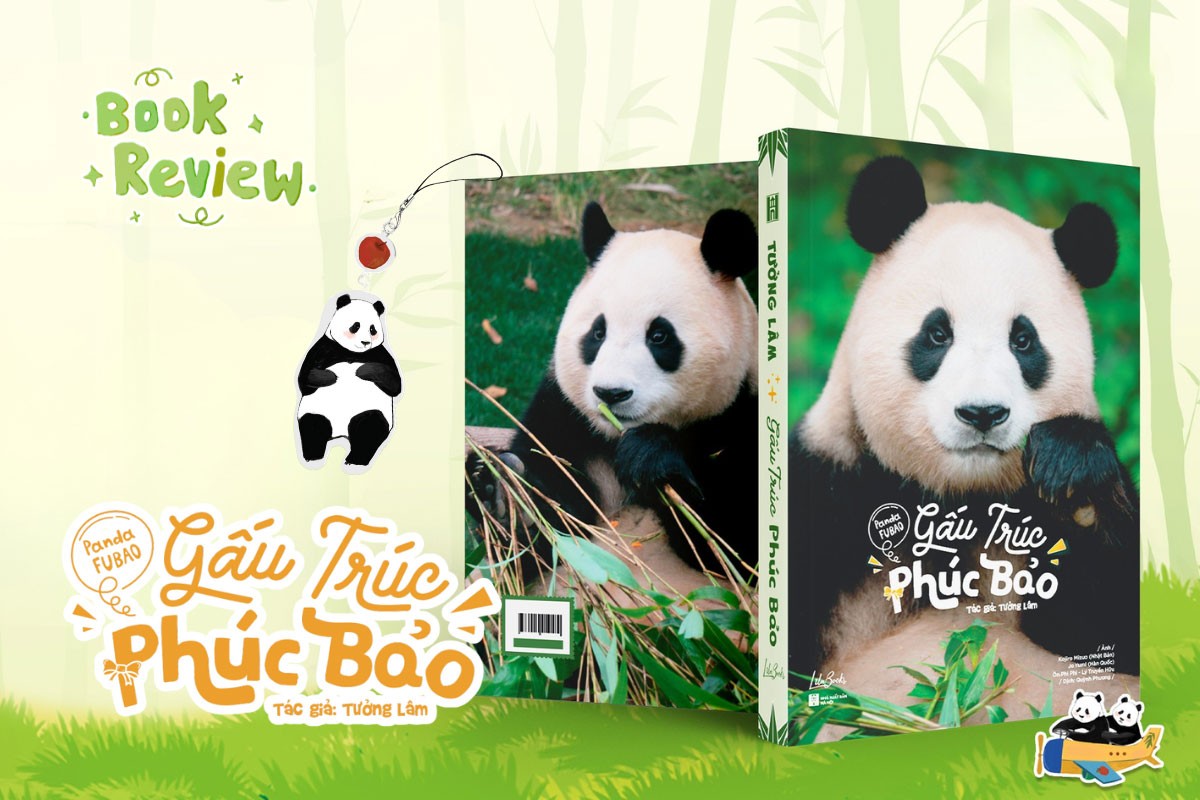 Review Sách Gấu Trúc Phúc Bảo: Chữa Lành Từ Những Điều Nhỏ Nhất