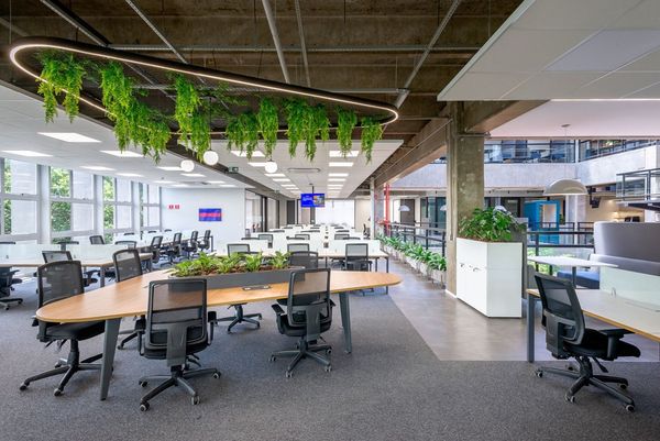 Top Các Mẫu Thiết Kế Văn Phòng Mở Dành Cho Gen Z