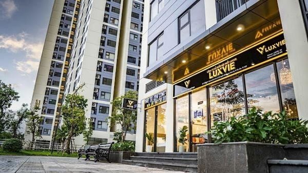 showroom của luxvie