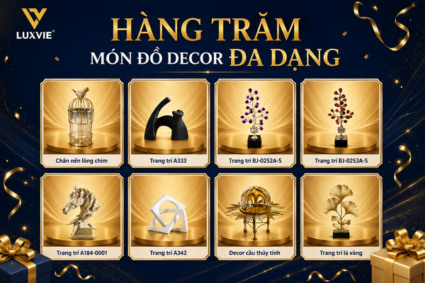 Chương trình sinh nhật Luxvie