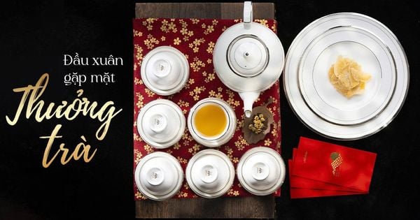 Đầu Xuân Gặp Mặt Thưởng Trà: Thanh Tao Một Thuở, Thanh An Một Đời