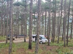 Cho thuê đất Da lat Lam Dong 1,2hec vườn cafe Tùng la hán MT QL20