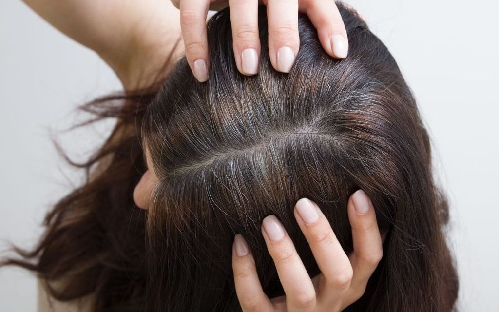 Bao lâu nên phủ bạc một lần để tóc không bị khô xơ