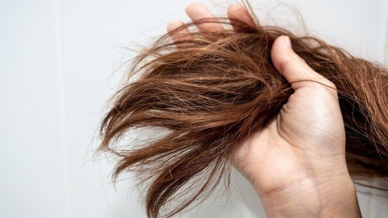 Tóc trở nên khô và yếu hơn là tình trạng rất nhiều người gặp phải