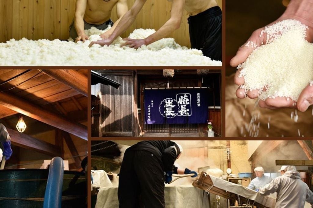 Vì sao gạo sake phải được mài?