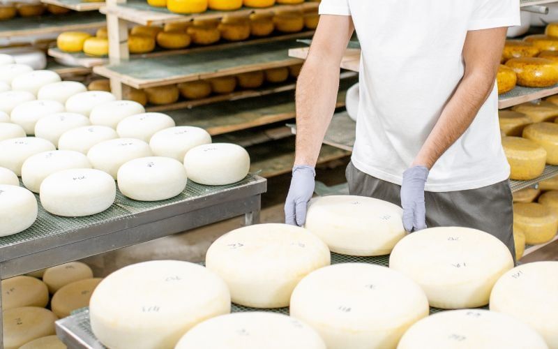 Sản xuất phô mai và các yếu tố quyết định chất lượng