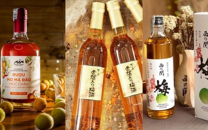 Rượu Mơ có cồn không? Quà Tết lý tưởng cho người ít uống rượu