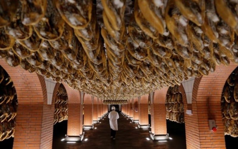 Jamon Và Những Lần "Bị Hiểu Lầm" Hài Hước Nhất Lịch Sử