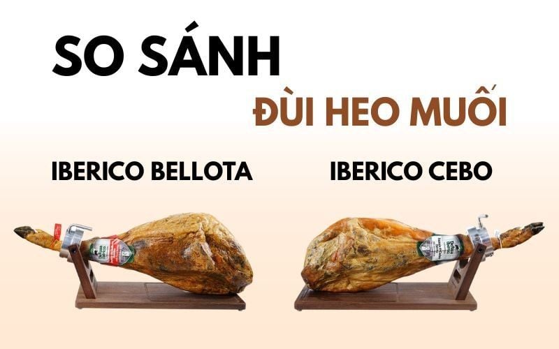 Đùi Heo Muối Iberico: So Sánh Iberico Bellota và Iberico Cebo