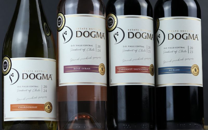 Khám Phá Rượu Vang Chile Và Pháp Dành Cho Người Mới