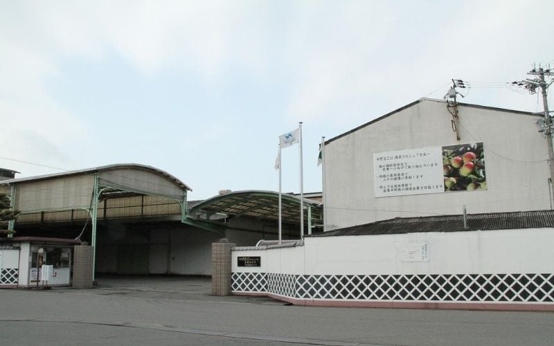 Khám Phá Tinh Hoa Rượu Mơ Nhật Bản Nakano BC