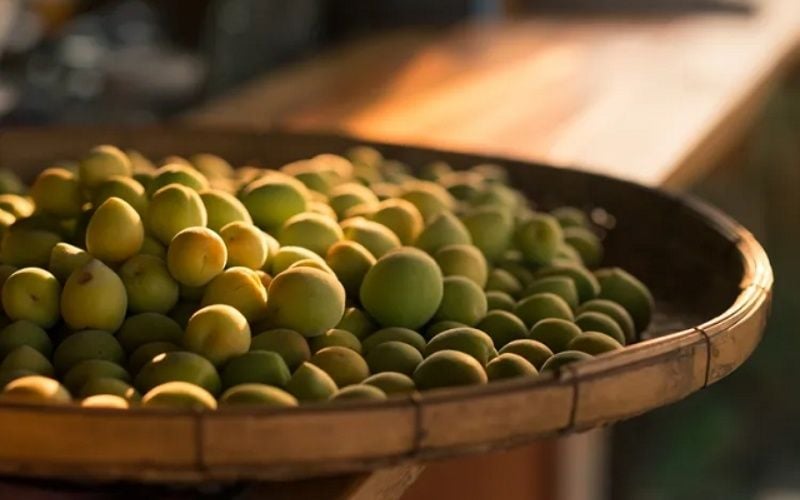 So Sánh Rượu Mơ Nhật Nakano BC Và Rượu Mơ Nhật Choya