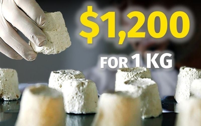 Những loại phô mai đắt nhất thế giới và lý do vì sao