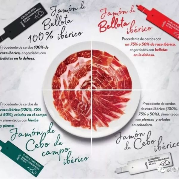 nhan-mac-cua-tung-loai-iberico