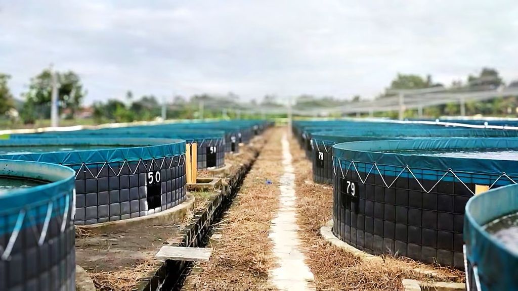 SEAMTEK W-900 AT: Giải Pháp Hàn Bồn, Lồng Nuôi Trồng Thủy Sản PVC Bền, Kín Nước Cho Ngành Tôm, Cá Tra Xuất Khẩu