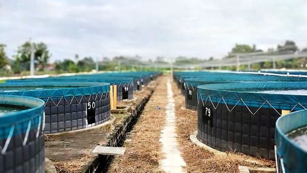 SEAMTEK W-900 AT: Giải Pháp Hàn Bồn, Lồng Nuôi Trồng Thủy Sản PVC Bền, Kín Nước Cho Ngành Tôm, Cá Tra Xuất Khẩu