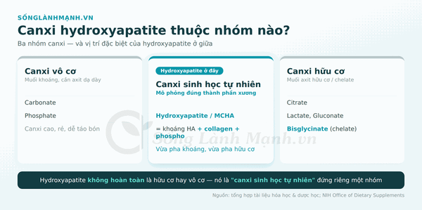 canxi hydroxyapatite hữu cơ hay vô cơ