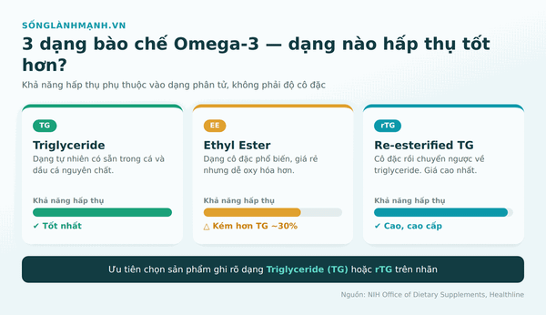 So sánh 3 dạng bào chế omega-3 TG, EE, rTG — dạng nào hấp thụ tốt hơn