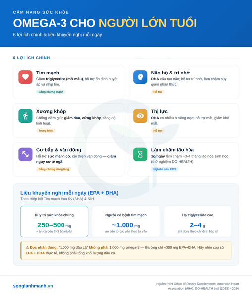 omega 3 cho người lớn tuổi