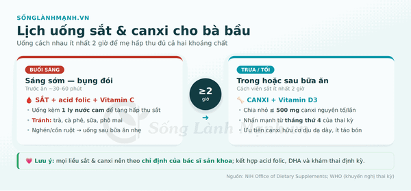 Lịch uống sắt và canxi cho bà bầu