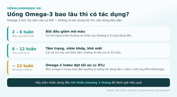 Timeline omega-3 bao lâu có tác dụng: mỡ máu 2-6 tuần, tâm trạng 6-12 tuần, Omega-3 Index tối ưu sau 12 tuần