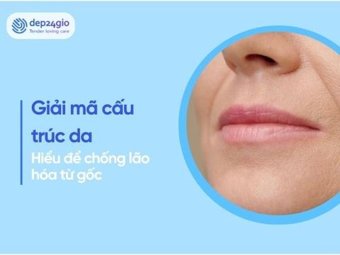 Giải mã cấu trúc da và cách chống lão hóa da